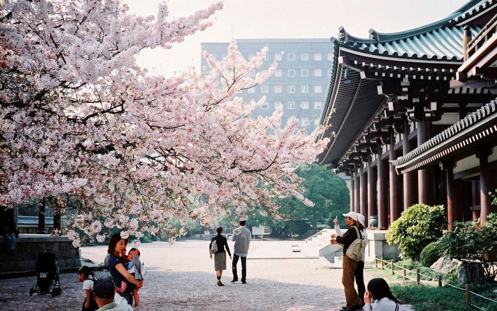 Fukuoka tour