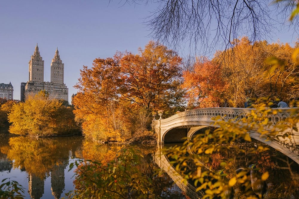 1 Day NYC Itinerary: Walking Tour with a Local Guide 1 Central Park Sunset 1 Day NYC Itinerary Guidzapp
