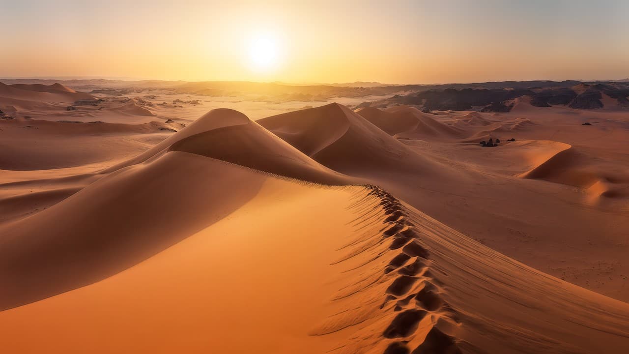 Algeria tourism app - Sahara adventure with Tourista guide