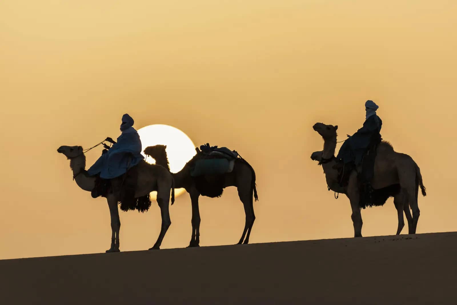 Algeria Sahara tours - Bedouin guide on dune with Tourista app